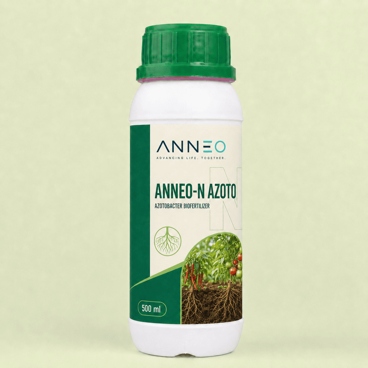 Anneo N Azoto